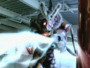 donkeyvac3.jpg