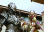 goldenrod2.jpg